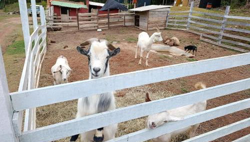 Container na natureza - Foto 4