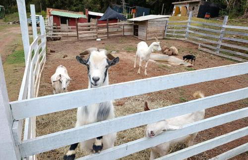 Container na natureza - Foto 4