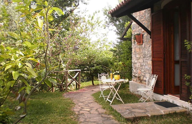 La Gabbianella e il Gatto - Foto 10