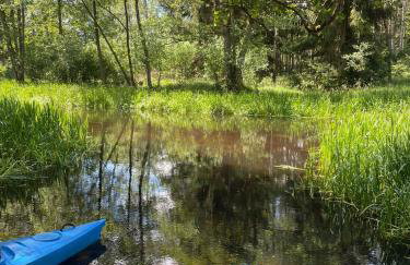 Casa Kashubia - Kaszuby Domek nad jeziorem I cisza natura i luksus - Foto 56
