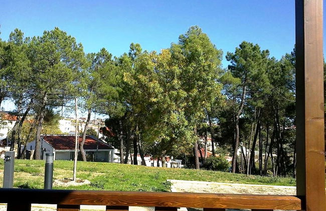 Douro Camping - Foto 14