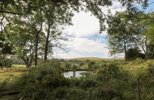 West Burnbank - Foto 36