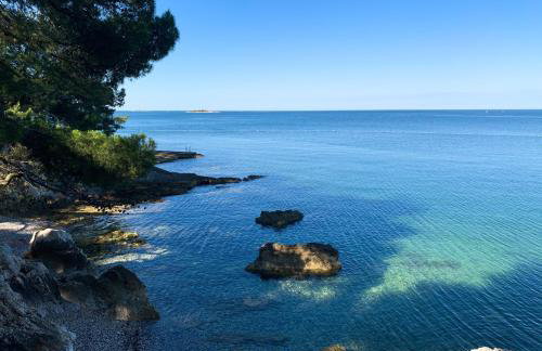 APP FIORELA - Foto 17