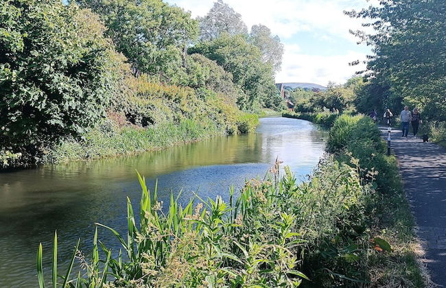 Central 1 - Bed Apartment in Edinburgh Sleeps 3 - Foto 14