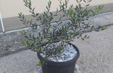 Apartman Ana Marija - Foto 45