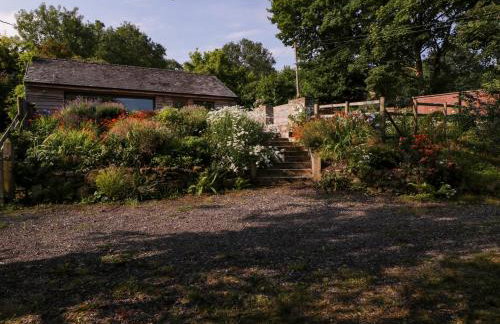 Black Cat Bach - Foto 28