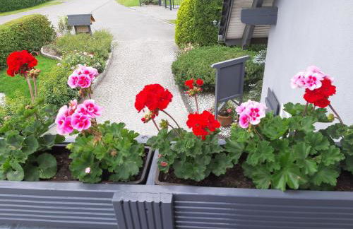 Wiesenblick - Foto 12