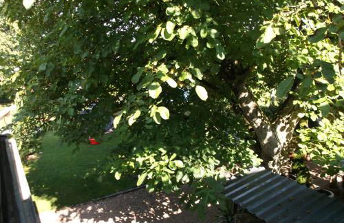 Ferienappartement Pirmasens - Foto 18