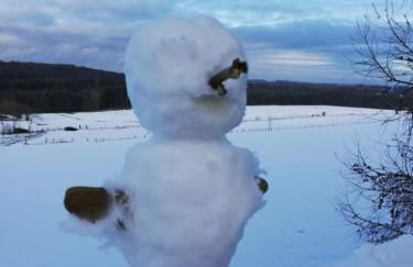 Ferienhaus mit Ausblick - Foto 26