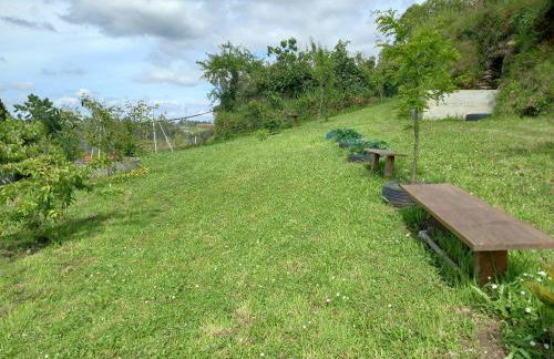 Cabanelas Country House - Casa do Luís - Foto 27