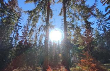 Apartament Górski Widok - Foto 61