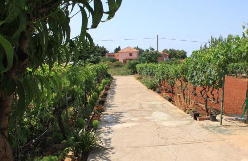 Apartments by the sea Ugljan - 8257 - Foto 9