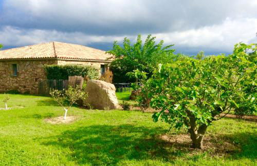 Clos Simoni - Foto 7