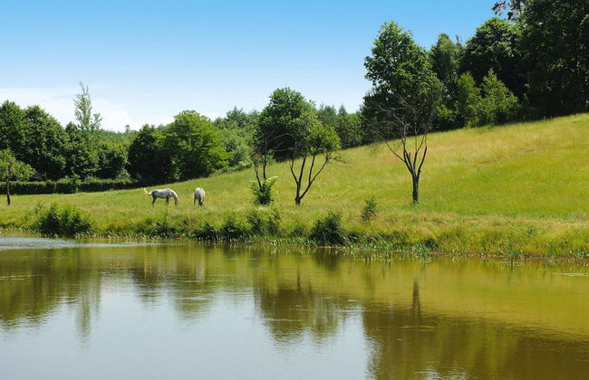 Apartment for two Only 20 m From Boruja Lake in Rekowo - Foto 11