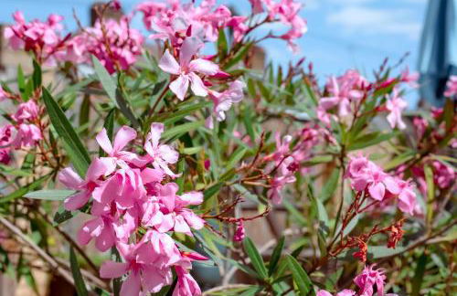 Perfect Booking Near Ramsgate Station And Beach - Foto 15