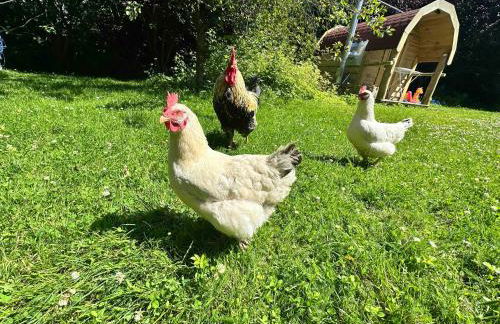 Ferienparadies Grube - Foto 23