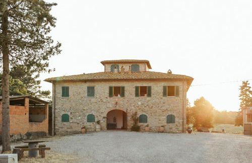Perelli Winery - Foto 3