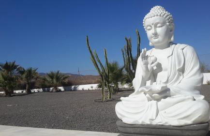 Cortijo Oro Verde B&B - Foto 36