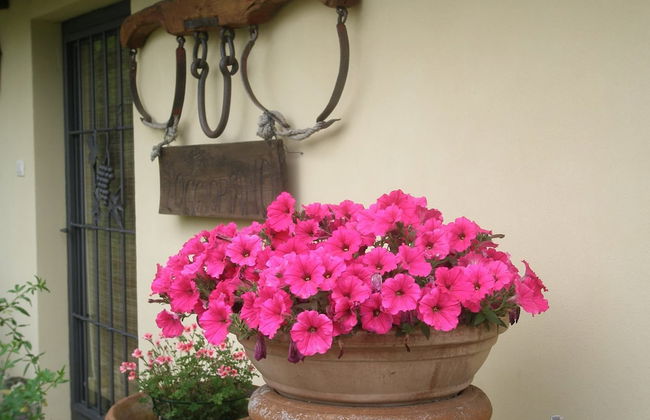 Agriturismo Poggiopiano - Photo 48