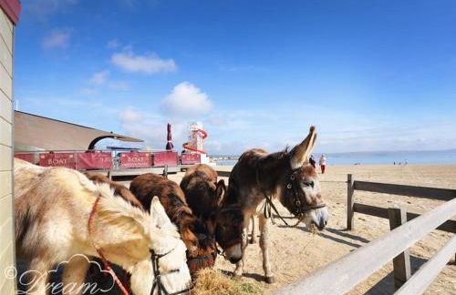 Outlook Lodge - Foto 26