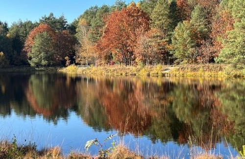 Ferienwohnung Naturpark Südheide im Retro-Style - Foto 20