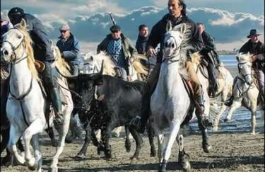 Studio mi casa es su casa - Photo 37