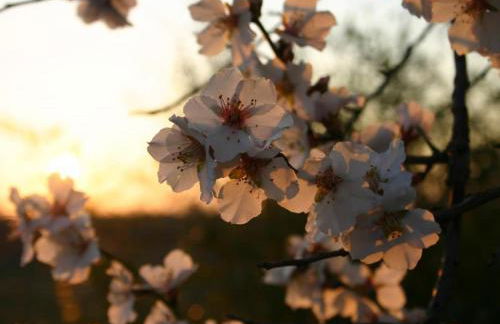 La Bastide des Vasses l'Atelier - Foto 33