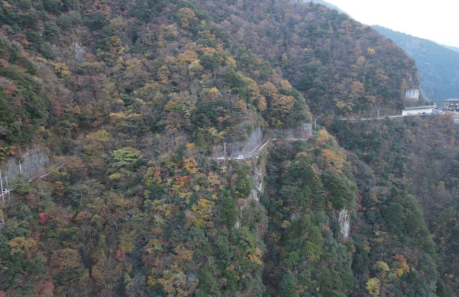 CrossFit Otoyo Strength TINY HOUSE - Foto 32