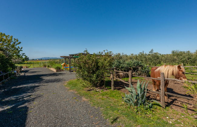 Bellosguardo - Foto 40