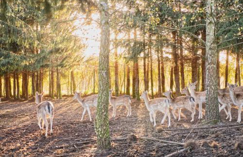 Przystań Nad Zatoką - Gospodarstwo Agroturystyczne - Foto 23
