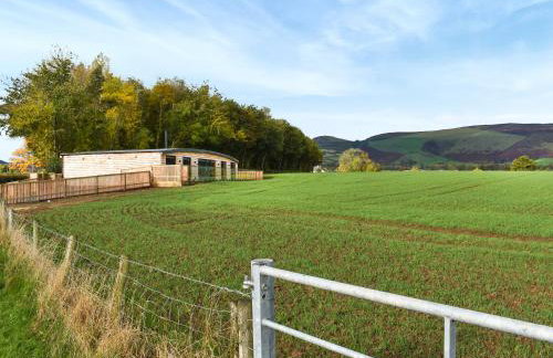 Acre Luxury Lodges-Cedar Lodge - Foto 27