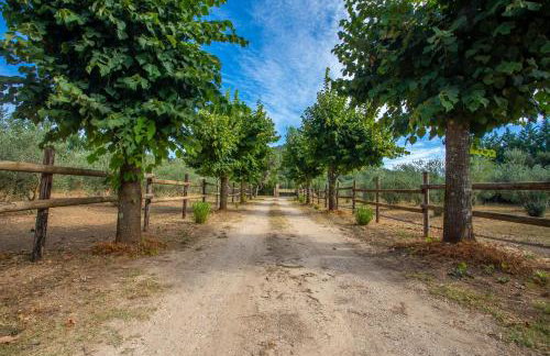 Kenya - Écuries du Mas di Gau - Foto 35