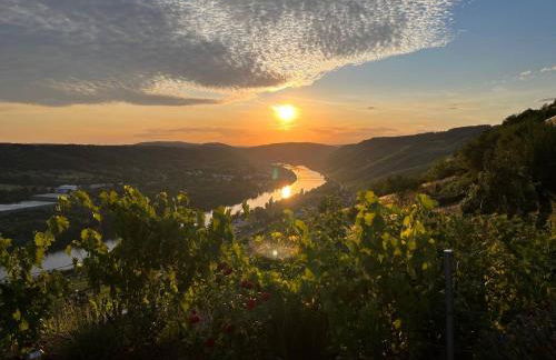 Apartment an der Mosel 2 - Foto 44