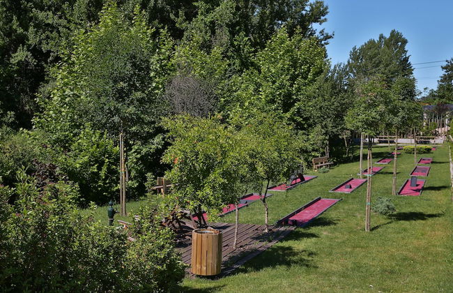 Vale de São Torcato Houses and Wine Bar - Photo 36