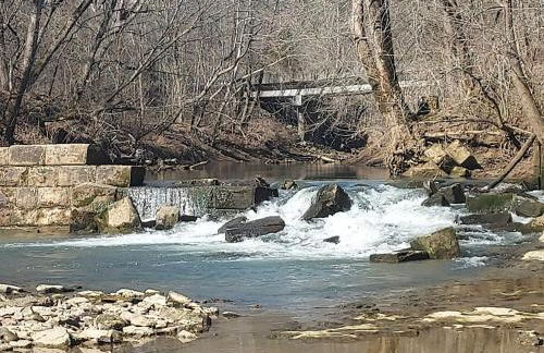 Peaceful Cabin on Rough River - Foto 7