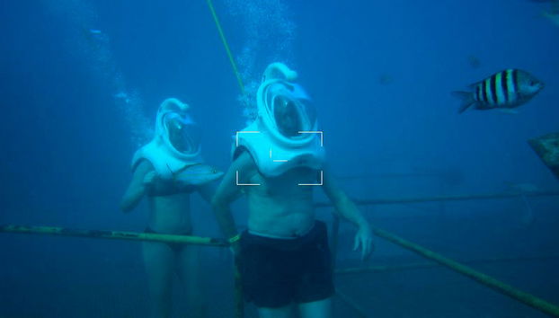 De Palm Island + Sea Trek - Foto 4