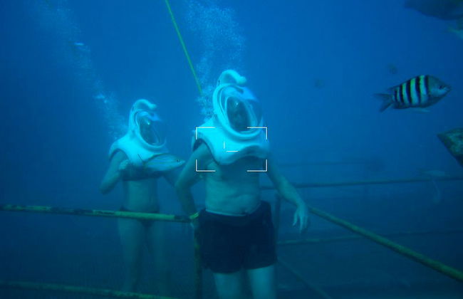 De Palm Island + Sea Trek - Foto 4