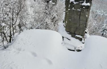Ferienhaus Malepartus Sächsische Schweiz - Foto 48