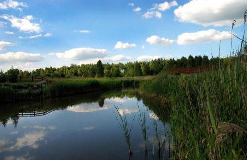 Uroczy drewniany dom w ciszy i spokoju - Foto 11