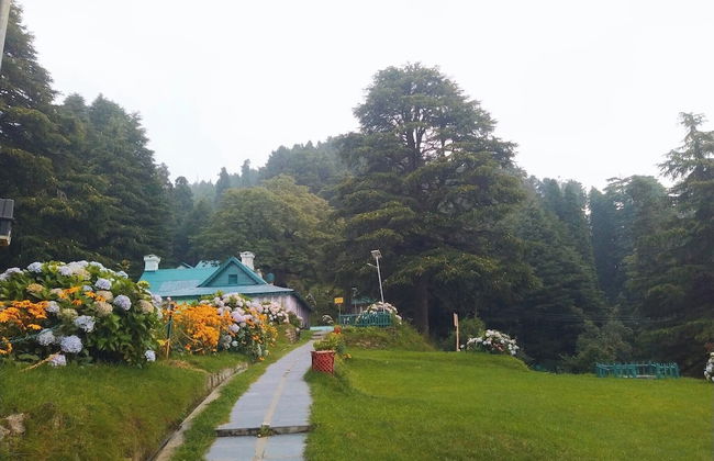 Eva Cabins - Photo 20