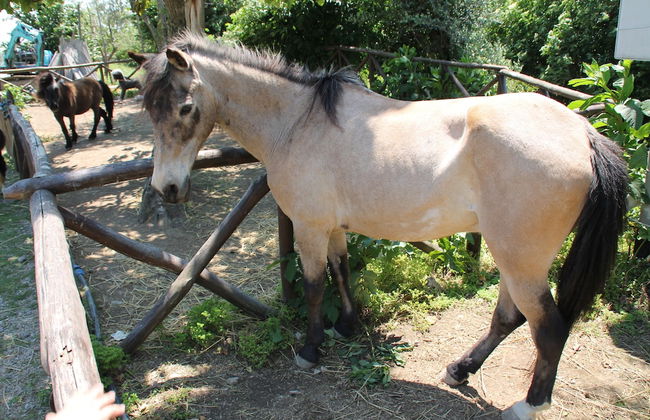 Agriturismo Piccolo Paradiso - Foto 45