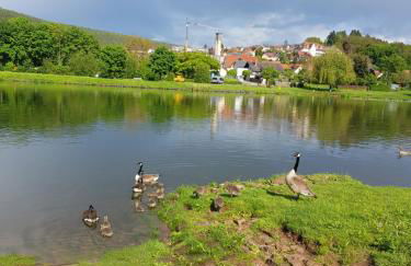 Ferienwohnung im Springerhof - Foto 41