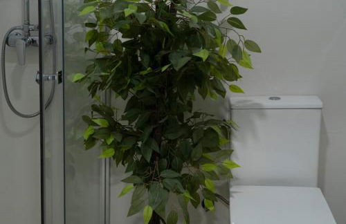 Oshun Plaza Castilla - Foto 122