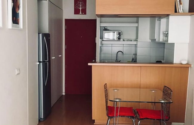 Rukaza Lastarria - Photo 66