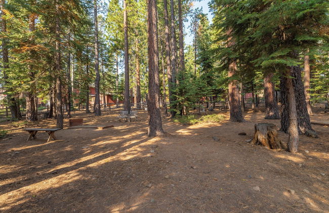 Huckleberry Haus - Foto 36