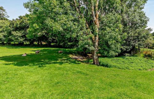 2 Bed in Callington oc-kates - Foto 22