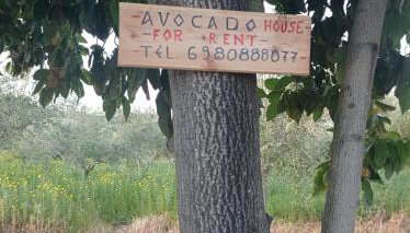 Avocado house - Foto 4