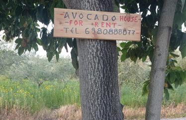 Avocado house - Photo 7