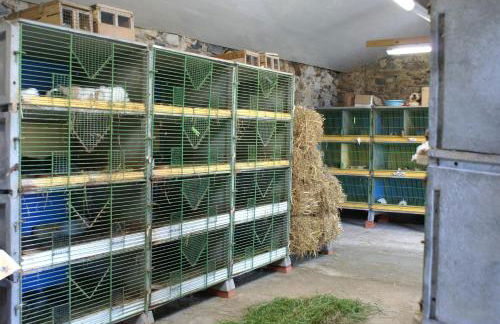 Le Logis des Chons à la campagne à Saint hilaire du Bois - Lys Haut Layon - Photo 45