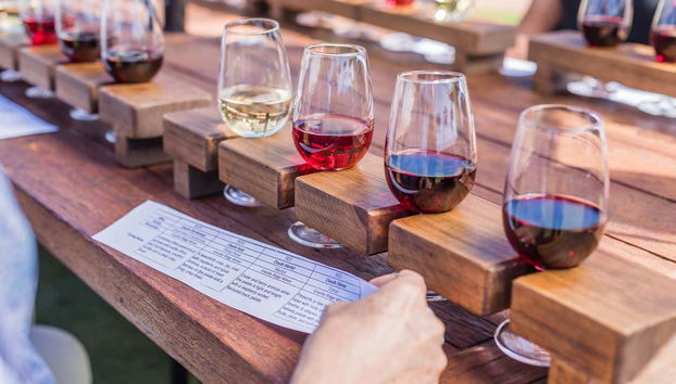 Dégustez les vins exquis de la Sunshine Coast